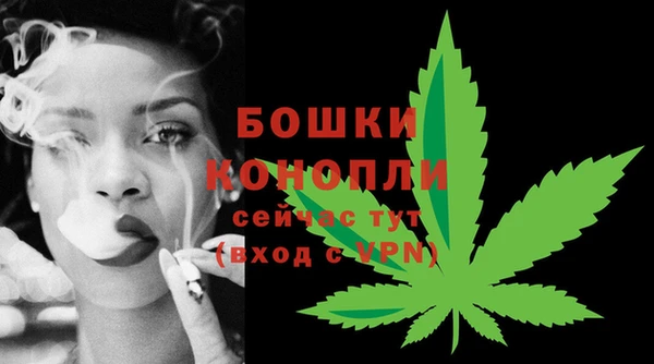 гидра Шарыпово