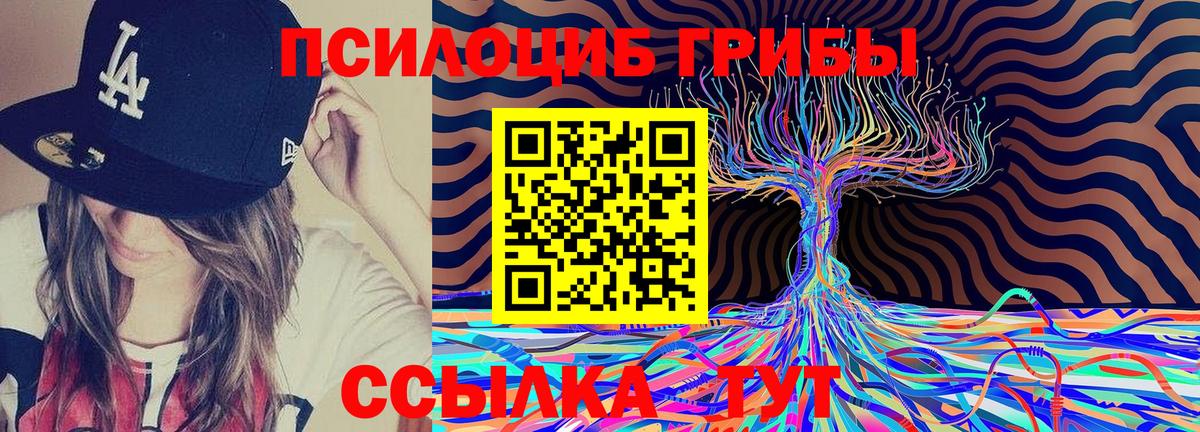 Ирбит  Псилоцибиновые грибы MAGIC MUSHROOMS  Вход с VPN 