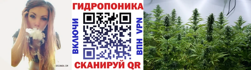 цена наркотик  Ирбит  Канабис Ganja 
